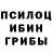 Псилоцибиновые грибы GOLDEN TEACHER Zefso