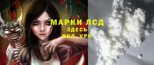 прущие грибы Абинск