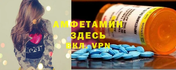 прущие грибы Абинск