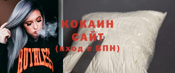 прущие грибы Абинск