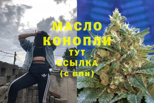 прущие грибы Абинск