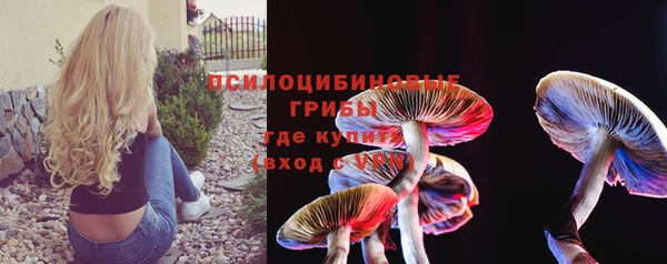прущие грибы Абинск