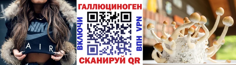 Псилоцибиновые грибы Cubensis  Нижневартовск 